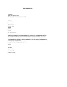 resignation letter software developer